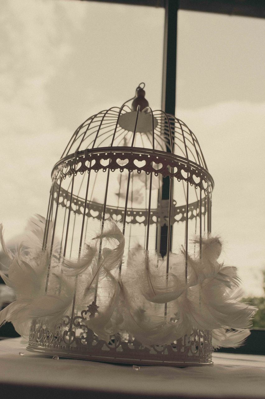 reportage-couple-mariage-haute-garonne-31-france-bordeaux